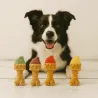Glaces Fruit&eacute;es pour Chiens &ndash; Pack D&eacute;couverte 4 saveurs