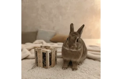 Bo&icirc;te cadeau en bois &ndash; Mangeoire &agrave; foin artisanale pour lapins et petits animaux | Bun Box Society