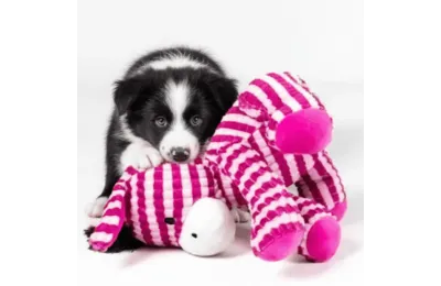 Pl&uuml;sch, Doudou f&uuml;r Hunde &ndash; S&uuml;&szlig;er rosa Esel &ndash; 29 cm - Flamingo