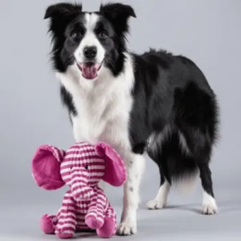 Jouet, Peluche, Doudou pour Chiens - Joli &eacute;l&eacute;phant rose - 28 cm