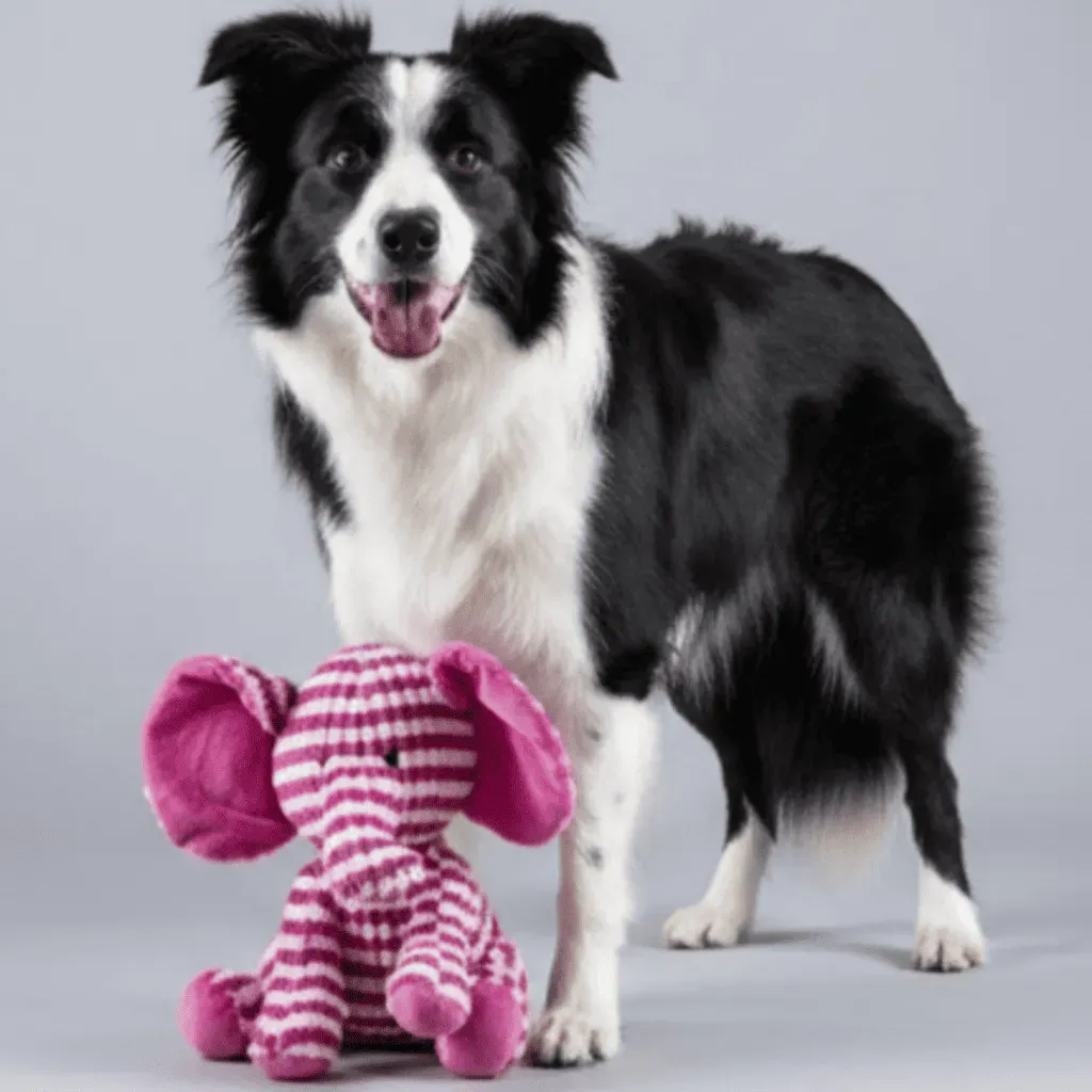 Dog Plush Toy &ndash; Pink Elephant 28 cm | Corduroy Finish with Squeaker & Crinkle