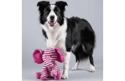 Peluche, Doudou pour Chiens - Joli &eacute;l&eacute;phant rose - 28 cm