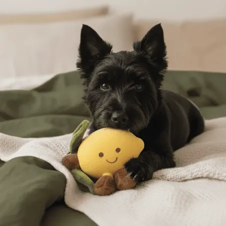 Gele Citroen Piepspeeltje voor Honden &ndash; Latex & Pluche | Merlin&Cie