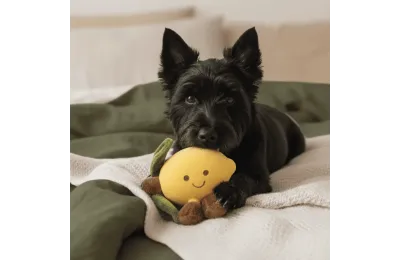 Gele Citroen Piepspeeltje voor Honden &ndash; Latex & Pluche | Merlin&Cie