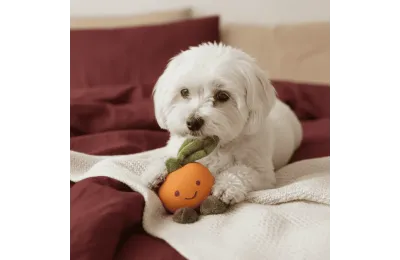 Quietscher-Spielzeug f&uuml;r Hunde &ndash; Orange aus Latex & Pl&uuml;sch - Flamingo