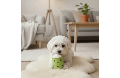 Jouet Couineur pour Chiens &ndash; Tasse &agrave; caf&eacute; en latex, coloris vari&eacute;s