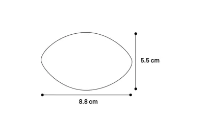 Rugby-Ball f&uuml;r Hunde &ndash; Gr&ouml;&szlig;e S, einzelne Einheit - Flamingo
