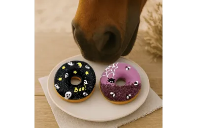 Anti-Waste: Horse Treats &ndash; Pack of 2 Colourful Donuts &ndash; Candy Horse