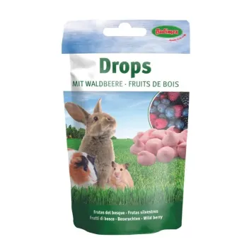 Vitamin-Snack f&uuml;r Kaninchen &ndash; Drops mit Waldfr&uuml;chten (75 g) - Bubimex