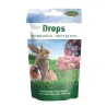 Rabbit & Small Pet Forest Fruit Drops 75 g | Vitamin-Enriched, No Artificial Colours