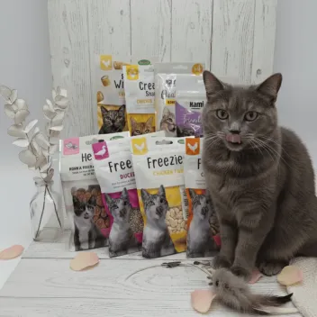 Gourmet Chicken + Duck Pack | 8 Premium Cat Treats | Protein-Rich Snacks & Creamy Delights