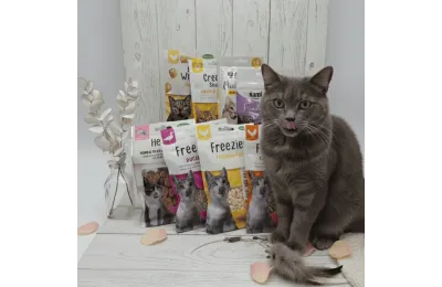 Gourmet Kip + Eend Snackbox | 8 Premium Katten&shy;snacks | Eiwitrijke & Romige Traktaties