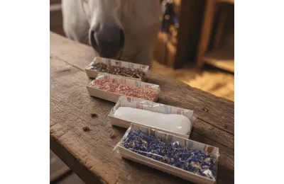 Pack Gourmet para Caballos | Set de 4 &Eacute;clairs Artesanales | Premios Naturales & Florales