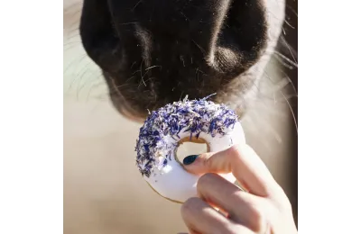 8 Horse Donuts | Natural Handcrafted Treats | Candy Horse