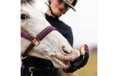 8 Horse Donuts | Natural Handcrafted Treats | Candy Horse