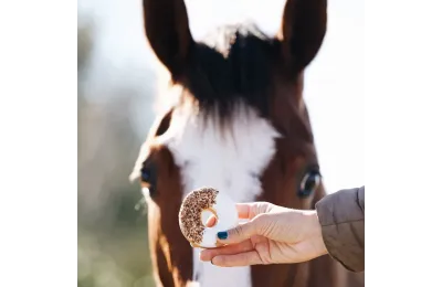 8 Horse Donuts | Natural Handcrafted Treats | Candy Horse