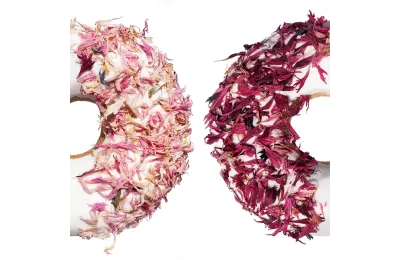 8 Donuts per Cavalli | Snack Naturali Artigianali | Candy Horse