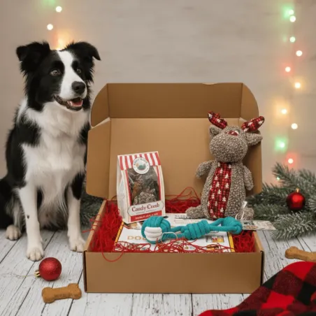 Kerstcadeaubox voor middelgrote honden &ndash; Speelgoed & Premium snacks