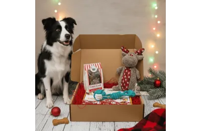 Caja de Navidad para perros medianos &ndash; Juguetes & Snacks premium