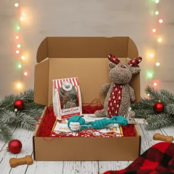 Christmas Gift Box for Medium Dogs &ndash; Toys & Premium Treats &ndash; Merlin& Cie
