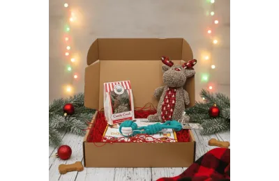 Caja de Navidad para perros medianos &ndash; Juguetes & Snacks premium &ndash; Merlin & Cie