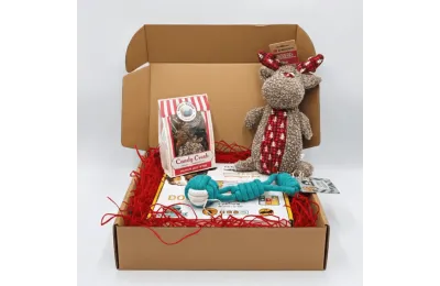 Caja de Navidad para perros medianos &ndash; Juguetes & Snacks premium &ndash; Merlin & Cie