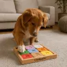 Weihnachtsgeschenkbox f&uuml;r mittelgro&szlig;e Hunde &ndash; Spielzeuge & Premium-Leckerlis - Merlin & Cie