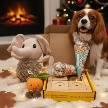 Coffret de No&euml;l pour petits chiens &ndash; Jouets & gourmandises festives
