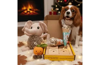 Caja de Navidad para perros peque&ntilde;os &ndash; Juguetes & snacks festivos