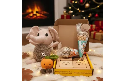 Caja de Navidad para perros peque&ntilde;os &ndash; Juguetes & snacks festivos &ndash; Merlin & Cie