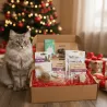Weihnachtsgeschenkbox f&uuml;r Katzen &ndash; Spielzeuge & Premium-Leckereien
