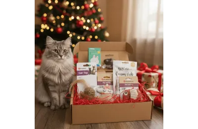 Caja de Navidad para gatos &ndash; Juguetes & snacks premium