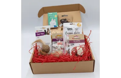 Christmas Gift Box for Cats &ndash; Toys & Premium Treats &ndash; Merlin & Cie