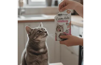 Coffret de No&euml;l pour chats &ndash; Jouets & gourmandises premium &ndash; Merlin & Cie