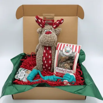 Christmas Gift Box for Medium Dogs &ndash; Toys & Festive Treats &ndash; Merlin & Cie