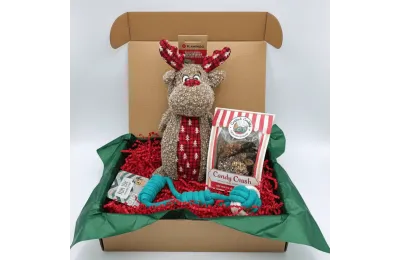 Cofanetto di Natale per cani di taglia media &ndash; Giochi & dolcetti festivi &ndash; Merlin & Cie