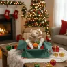 Kerstcadeaubox voor kleine honden &ndash; Zacht speelgoed & heerlijke traktaties &ndash; Merlin & Cie