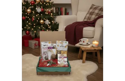 Cofanetto di Natale per gatti &ndash; Giochi & snack festivi &ndash; Merlin & Cie