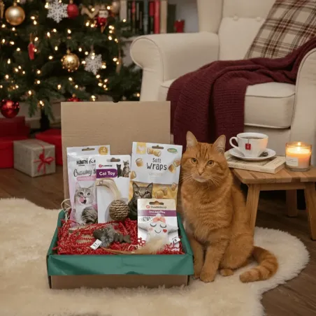 Weihnachtsbox f&uuml;r Katzen &ndash; Spielzeuge & festliche Leckereien &ndash; Merlin & Cie