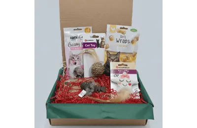 Coffret de No&euml;l pour chats &ndash; Jouets & gourmandises festives &ndash; Merlin & Cie