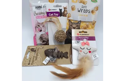 Cofanetto di Natale per gatti &ndash; Giochi & snack festivi &ndash; Merlin & Cie