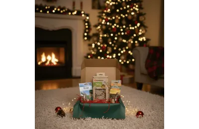 Coffret de No&euml;l pour lapins &ndash; Jouets nature & douceurs aux fruits &ndash; Merlin & Cie