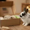 Set de juguetes naturales para conejos