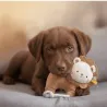 Peluche, doudou pour chiots de toutes tailles - Lion avec corde
