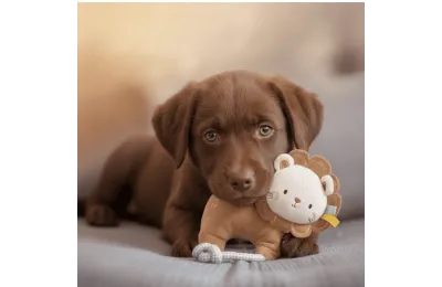 Knuffelspeelgoed voor puppy&rsquo;s van alle groottes &ndash; Leeuw met touw - Flamingo