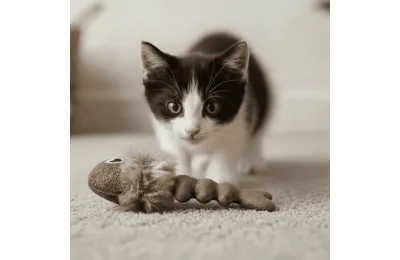 Kattenspeeltje &ndash; Vissengraat van textiel met kattenkruid