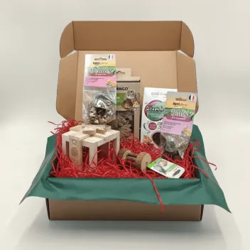 Weihnachtsgeschenkbox f&uuml;r Kaninchen &ndash; Spielzeuge & nat&uuml;rliche Leckereien &ndash; Merlin & Cie