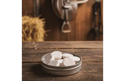 Vegan Horse Treats with Magnesium | Unicorn Reusable Tin | Lucky Horse