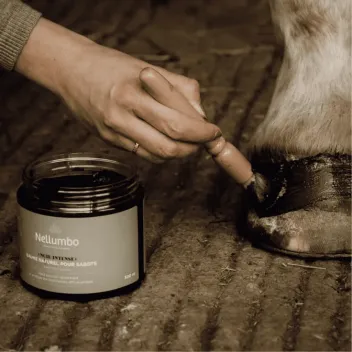 Pack soins cheval naturels | Merlin&Cie