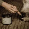 Pack soins cheval naturels | Merlin&Cie